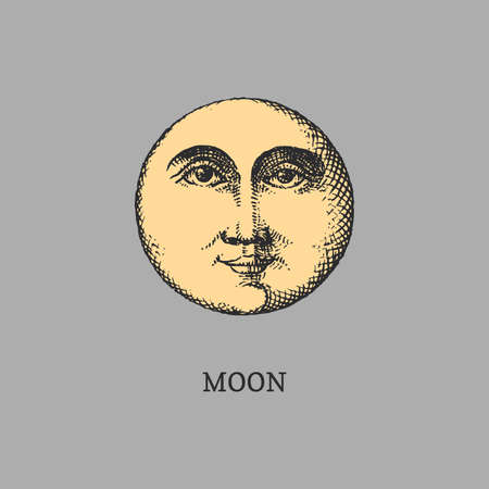 Moon illustration. Graphic retro drawing in vectorのイラスト素材