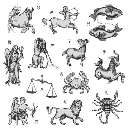 Zodiac signs set, vector drawing. Horoscope designのイラスト素材