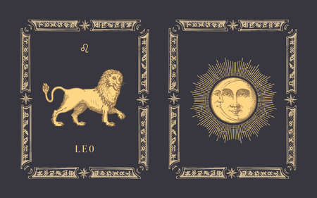 Leo zodiac symbol, drawn horoscope card in vector.のイラスト素材