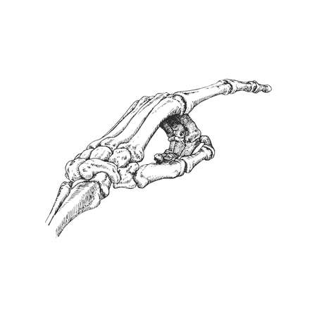 Skeleton hand, vector sketch in engraving style.のイラスト素材