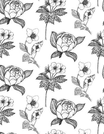 Flower wallpaper in vector. Herb seamless pattern.のイラスト素材