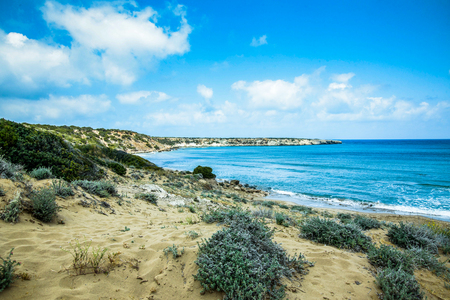 Beach with wild nature, sand dune grasses and the seaの写真素材
