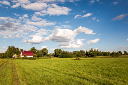 Eco green sunny country landscape with trees and cloudsの写真素材