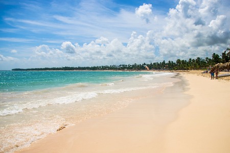 Sunny tropical paradise beach with palm and perfect skyの写真素材
