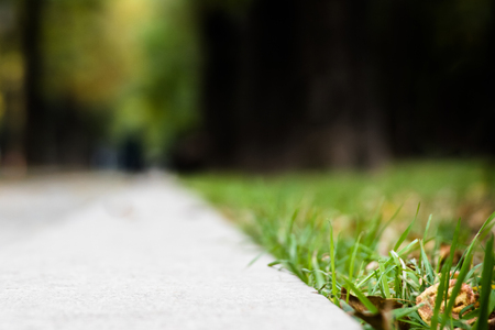 Abstract blur sidewalk with trees and grass in the city park. View from the ground levelの写真素材