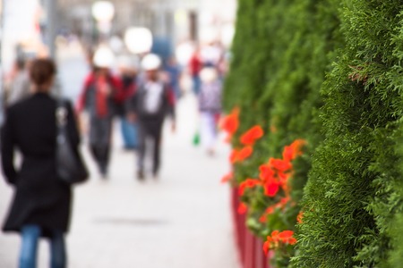 Urban gardening with abstract blur city bokeh backgroundの写真素材