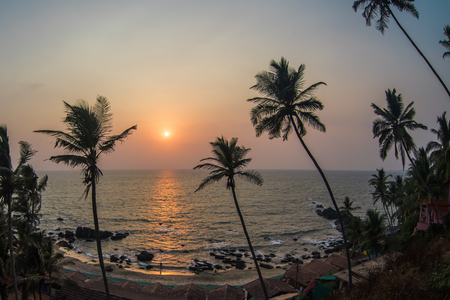 Sunset visible through palm leavesの写真素材