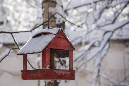 Empty Bird wooden feeder in winter forestの写真素材