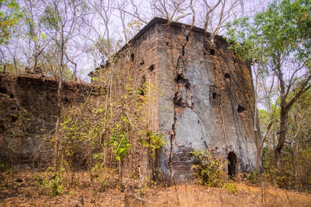 Banyan tree roots covering old building houseの写真素材