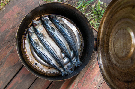 Fish smoking process for home use in smokehouse