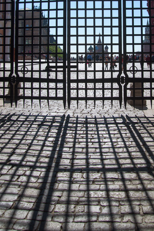 Cell against the background of St. Basil's Cathedral on Red Squareの写真素材
