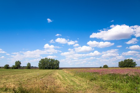 Sunday rural nature landscape with perfect skyの写真素材