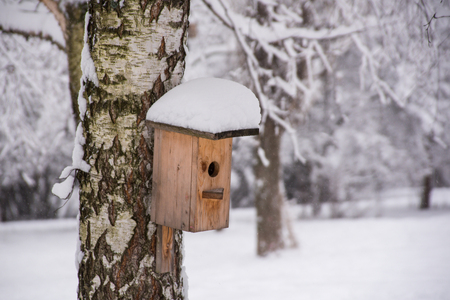 Handmade bird wooden nesting box in winter forestの写真素材