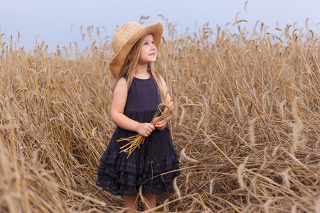 little girl collects in the ears of ryeの写真素材