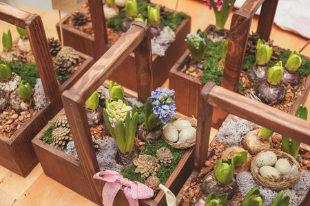 Flower composition of corms flowers, cones and moss in a wooden basket.