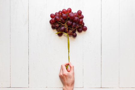 A bunch of grapes tied with a ribbon in a woman's hand on a white wooden background. View from above. Grapes like balloons. The concept of easy and healthy food.の写真素材