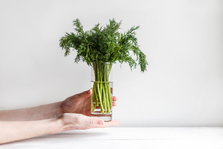 Female hands keeps fresh fennel in a glass of waterの写真素材
