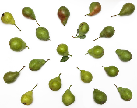 Pears pattern on white background. Fruit harvest isolatedの写真素材