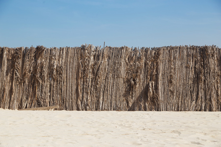 Palm leaves fence in the sandの写真素材