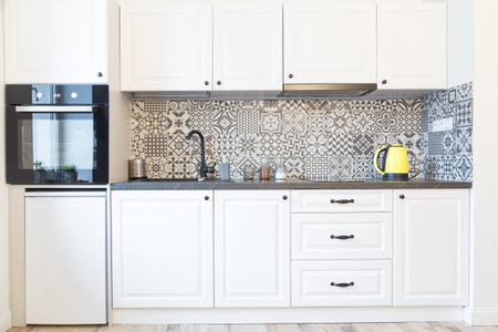 Fancy contemporary light kitchen interior