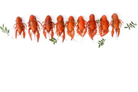 Several boiled crawfish isolated on white. top view. Flat layの写真素材