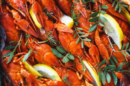 Close-up of boiled crawfish with lemon and herbsの写真素材