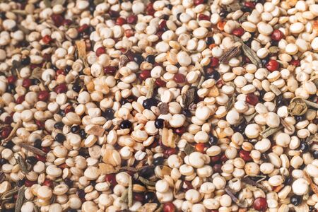 Uncooked quinoa grains - close-up, can be used as a background.の写真素材