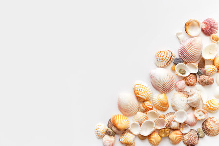 Plenty of seashells with copy space, top view isolated on white