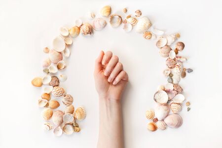 Woman's hands with perfect manicure and seashells around. Top view photo isolated on white, flat lay.の写真素材
