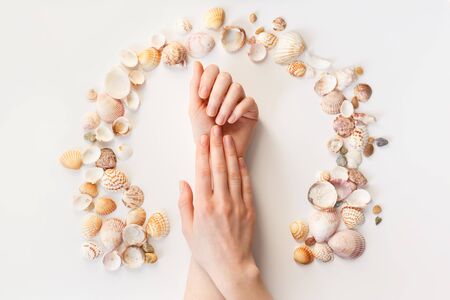Womans hands with perfect manicure and seashells frame. Top view photo isolated on white, flat layの写真素材