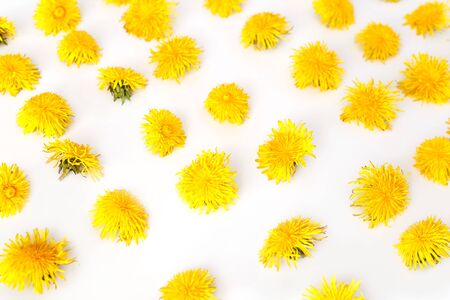 Flowers seamless pattern, dandelions. Summer concept, top view, flat layの写真素材