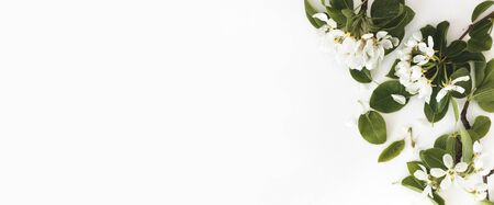 Spring composition. Blooming spring pear branches on a white background, floral frame, top view, flat layout. Spring conceptの写真素材