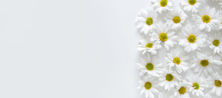 Floral background. Flat lay spring and summer daisy flowers with copy space. Flat layの写真素材