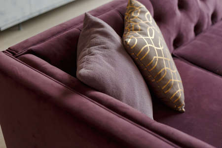 Purple velvet sofa with golden pillow in living room interiorの写真素材
