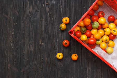 Tomatoes in a box. Ripe tomatoes in a container. Top view, flat lay, still life on black wooden backgroundの写真素材