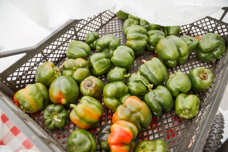 Colorful sweet bell peppers farm harvest, natural background.の写真素材