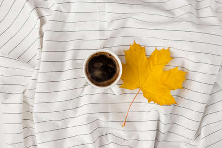 Autumn composition. Cup of coffeecup, autumn leaves on on white checkered cloth. Flat lay, top view, copy spaceの写真素材
