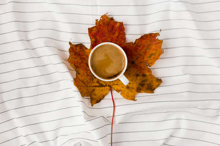 Autumn composition. Cup of coffee, women fashion csweater, autumn leaves on white background. Flat lay, top view, copy spaceの写真素材
