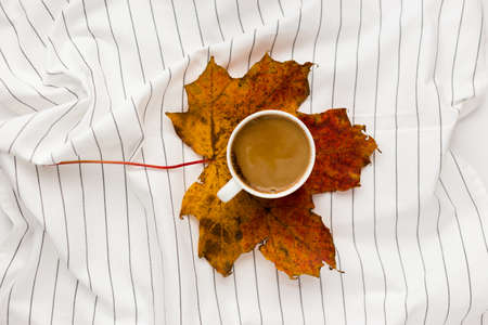 Autumn composition. Cup of coffee, women fashion csweater, autumn leaves on white background. Flat lay, top view, copy spaceの写真素材