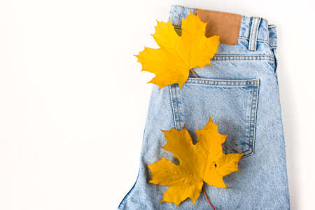 Close up maple leaf in jean pocket. Fashionable denim in autumn concept. Macro. Flat lay. Top view.の写真素材