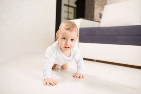 Baby boy crawling on his knees at home in living room.の写真素材
