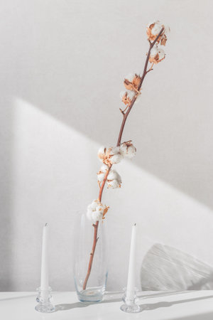 Cotton plant branches in vase and white candles on a white table. interior decoration