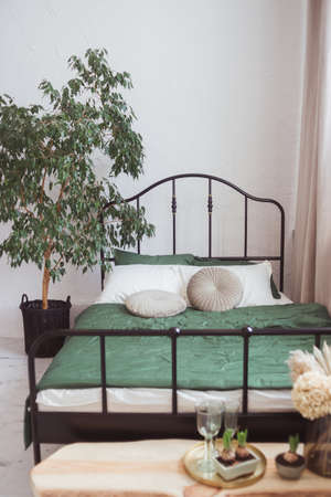 Light bedroom with black metal framed bed and home plant treeの写真素材