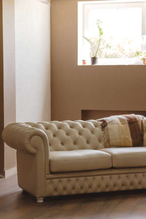 Vintage style beige quilted sofa in modern interior of living roomの写真素材