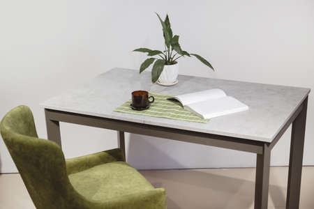 Modern minimalist workplace. Green velours armchair and loft table with home plant in white potの写真素材