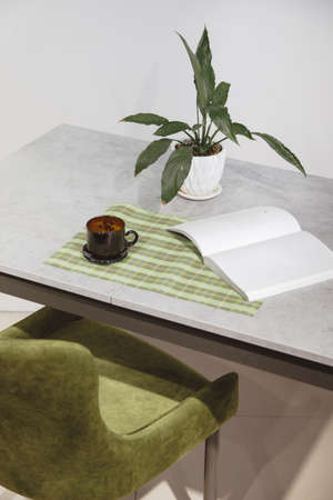 Modern minimalist workplace. Green velours armchair and loft table with home plant in white potの写真素材