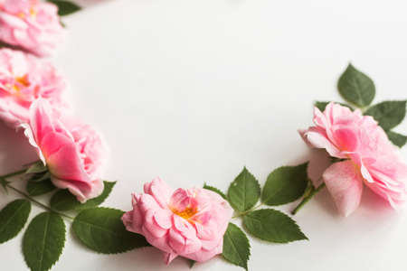 Flowers composition made of pink roses isolated on white background. Floral design. Flat lay, top view, copy spaceの写真素材