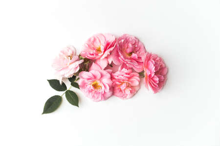 Flowers composition made of pink roses isolated on white background. Floral design. Flat lay, top view, copy spaceの写真素材