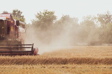 Combine harvester in the field. Close-up of a reel. Harvesting season. Rye and barleyの写真素材