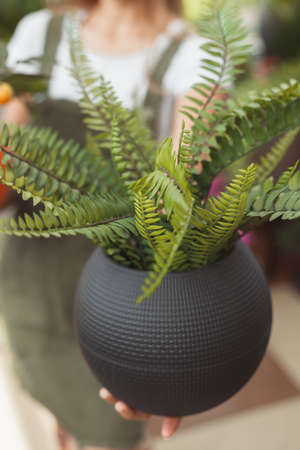 Woman with potted plants fern, soft focus.の写真素材